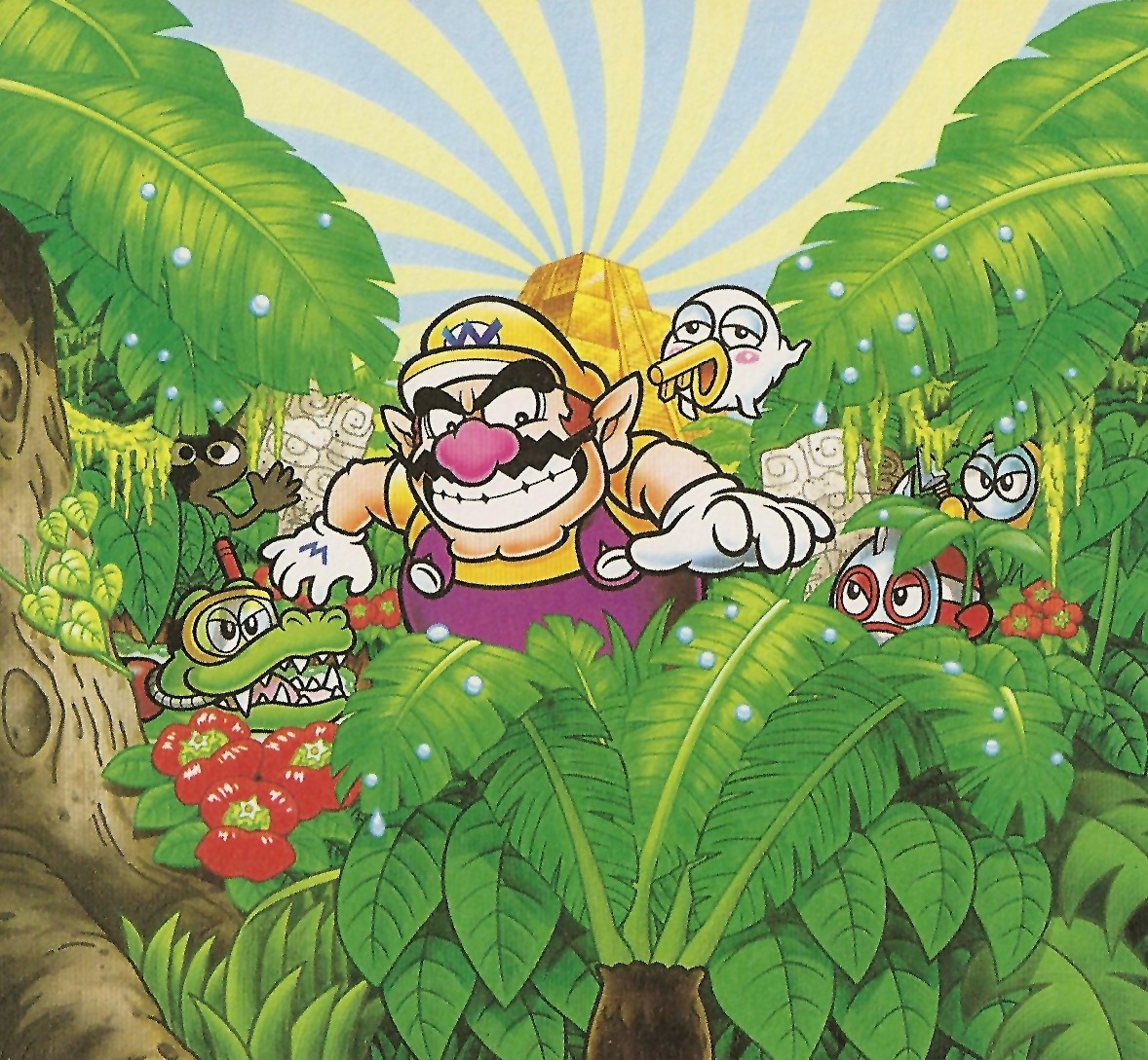 Wario Land 4