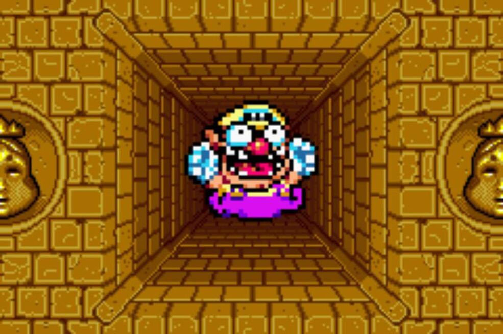 Wario Land