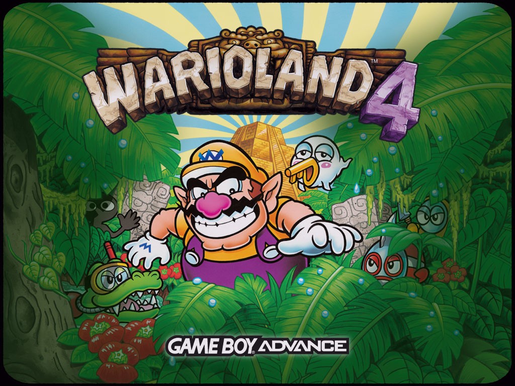 Wario Land