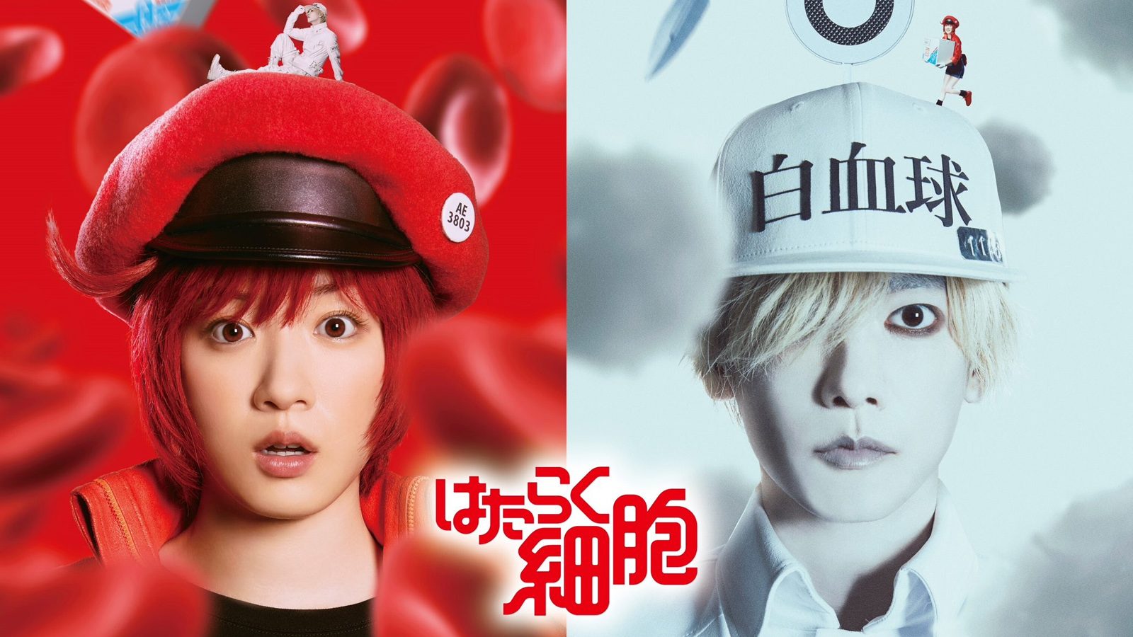 Cells at Work! salta a la acción real en Netflix 2 Cells at Work!