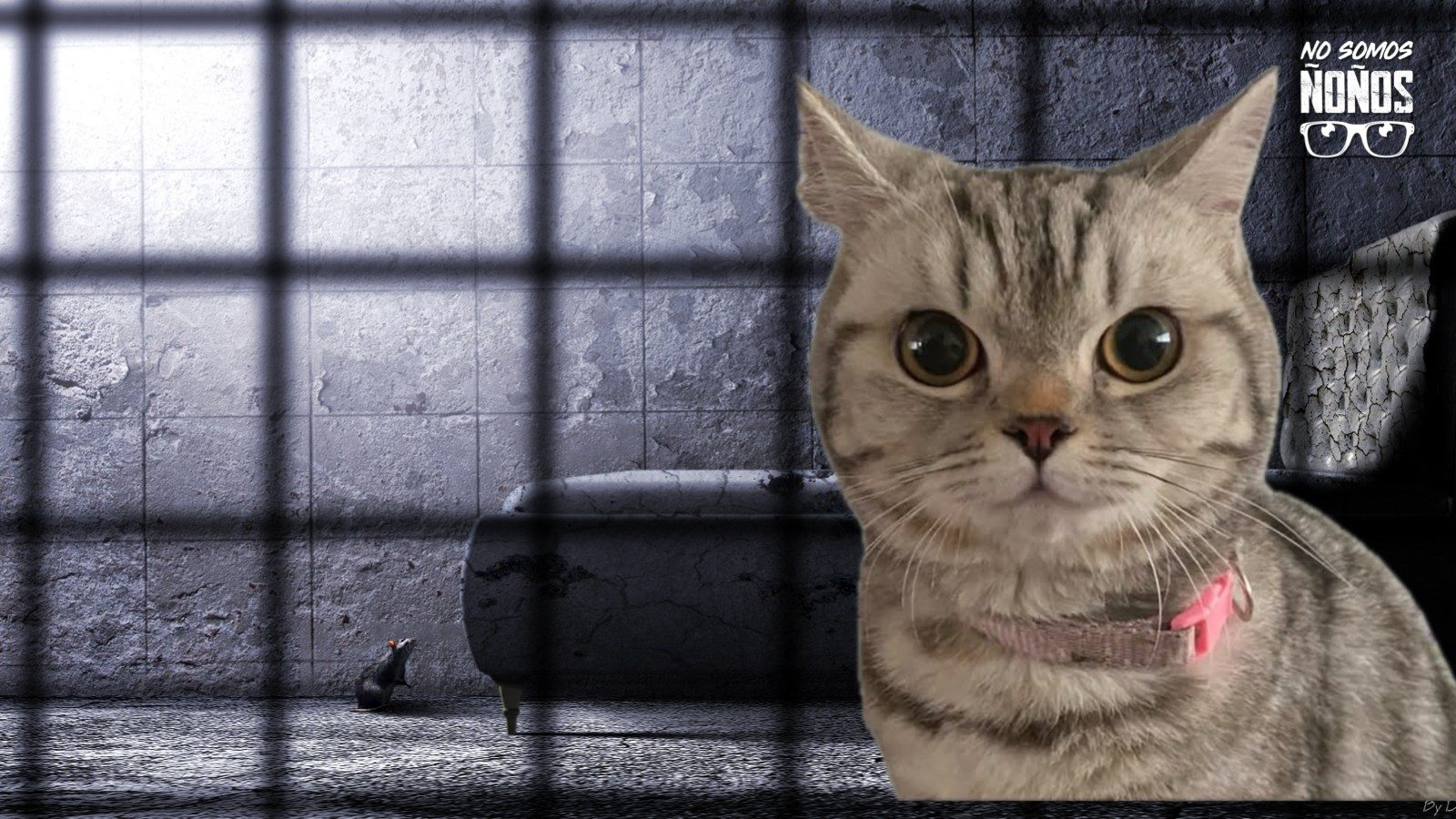gatito