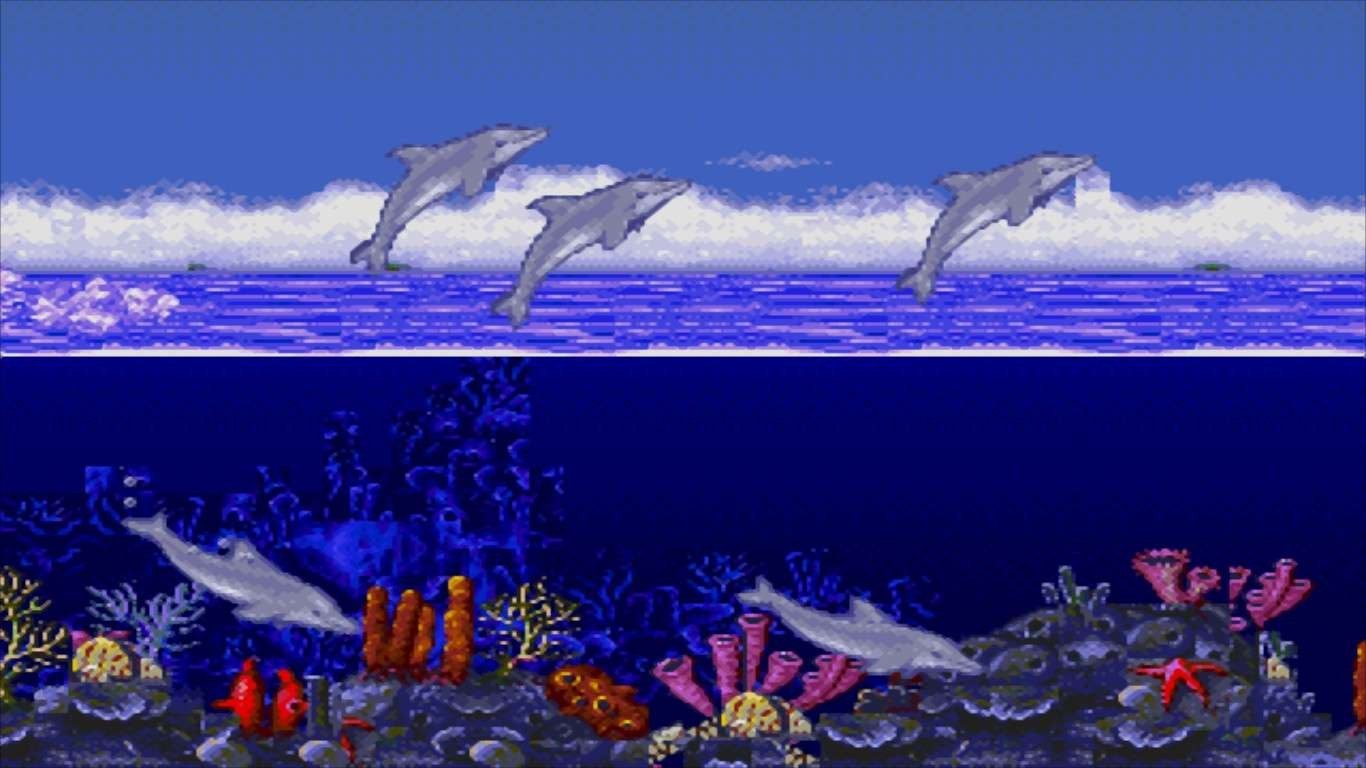 ¡Ecco the Dolphin regresa! 3 ¡Ecco the Dolphin regresa! 2