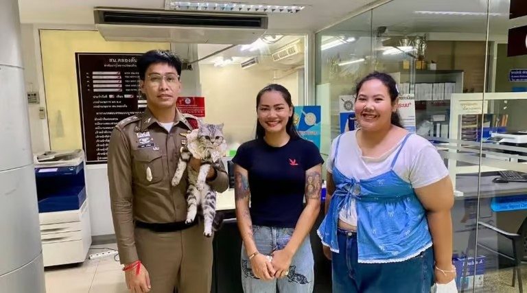 Gatito es arrestado en Tailandia 4 gatito
