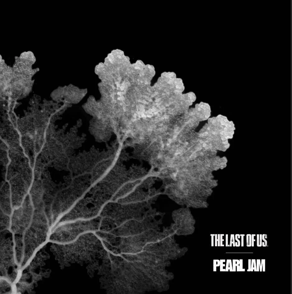 Pearl Jam anuncia colaboración con The Last of Us 1 pearl jam x the last of us