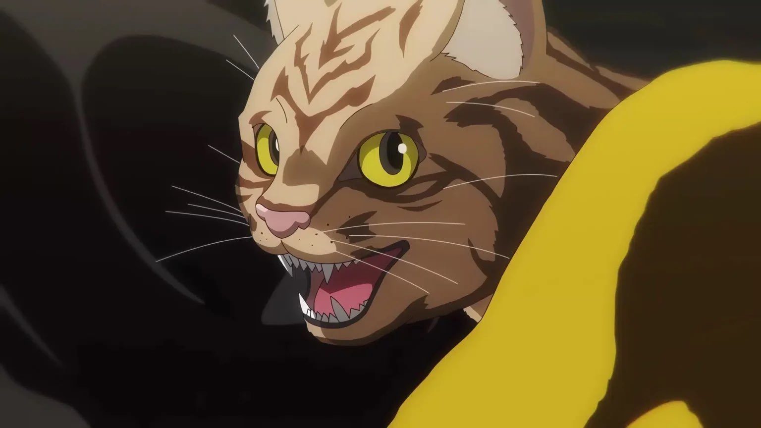 Nyaight of the Living Cat