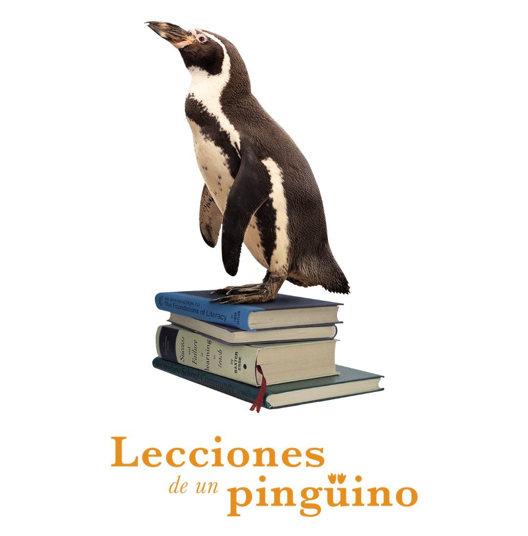 Reseña: Lecciones De Un Pingüino 1 LECCIONES DE UN PINGÜINO