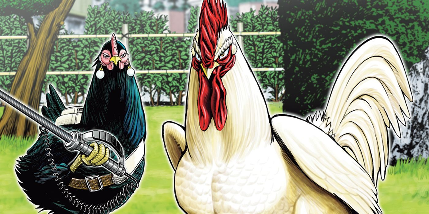 Rooster Fighter