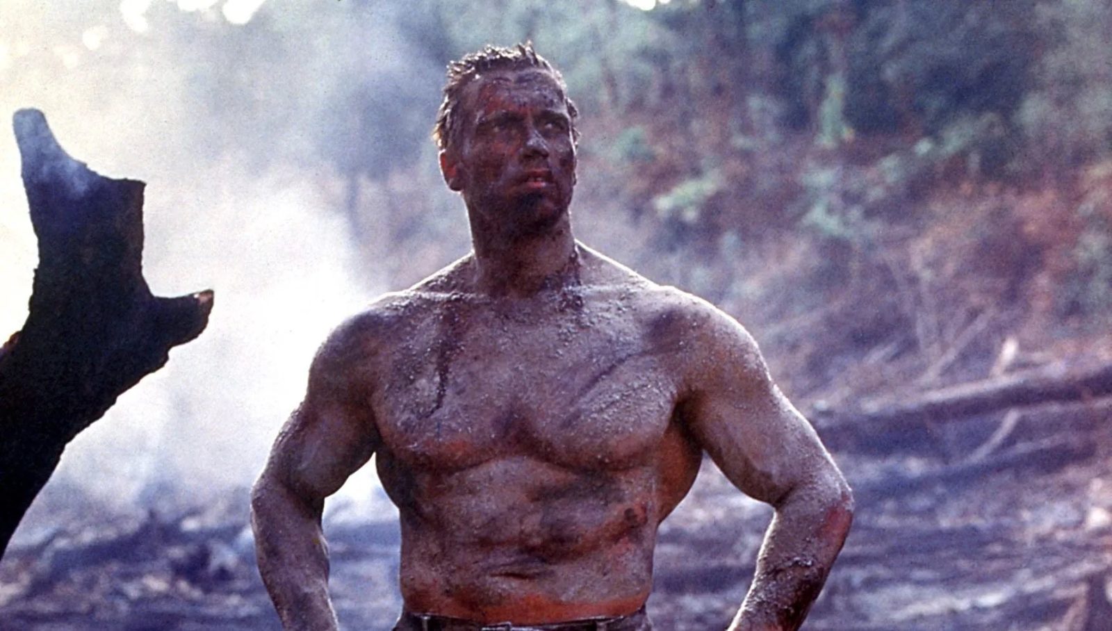 Predator, Depredador, Arnold Schwarzenegger 