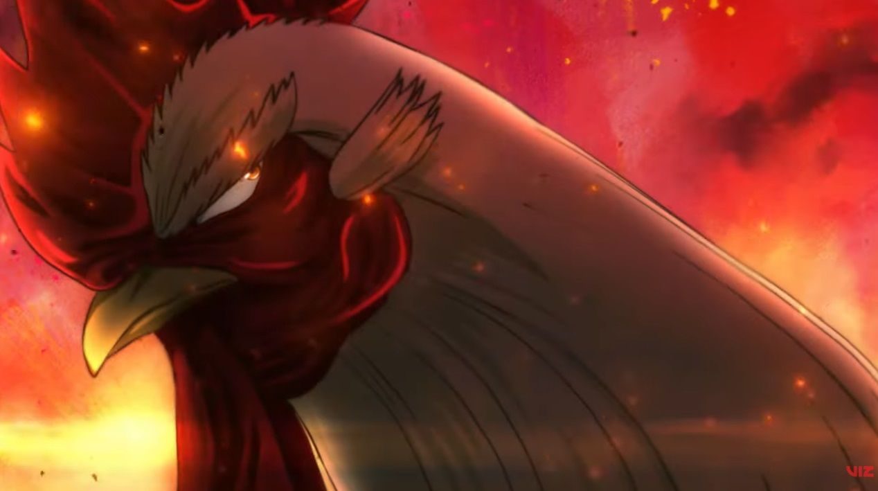 Rooster Fighter