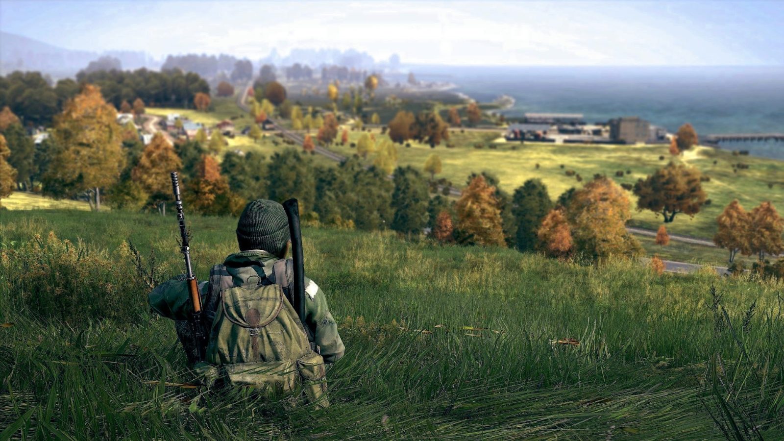 dayz