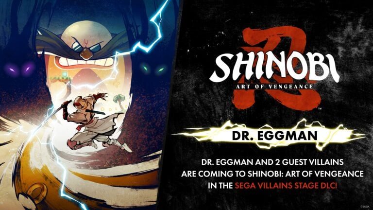 SHINOBI: Art of Vengeance, Sonic the Hedgehog