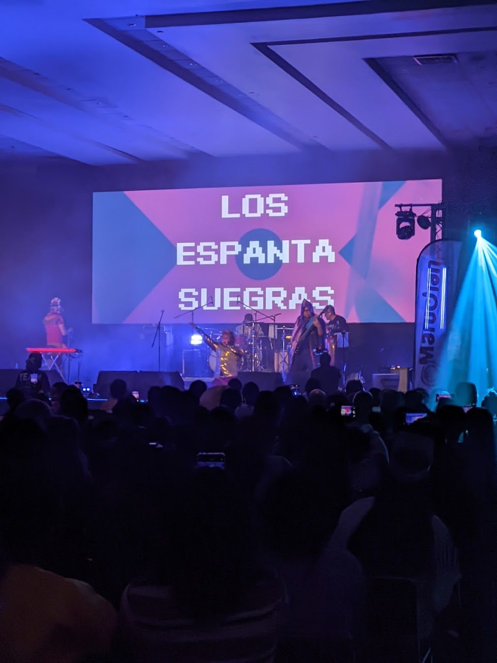 Animole 2025: Anime, Música y Diversión 11