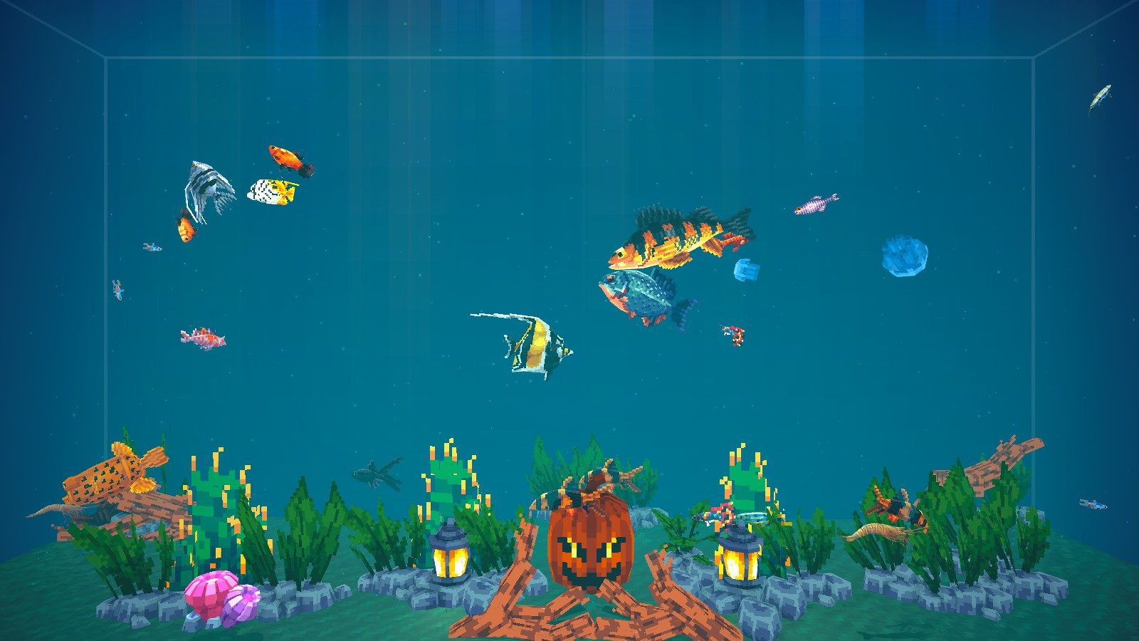 tiny aquarium