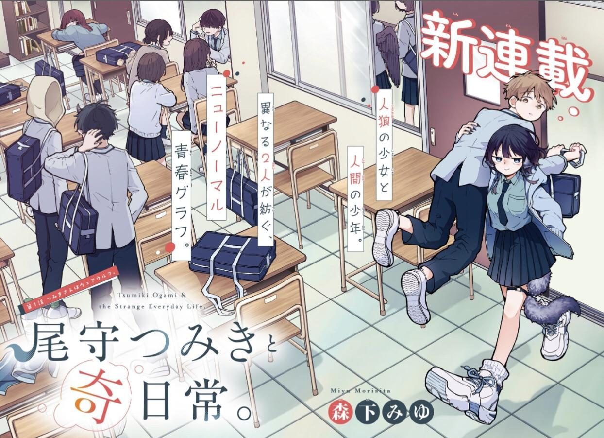 Rumor: Tsumiki Ogami to Kinichijou tendrá anime 3 Tsumiki Ogami to Kinichijou, Tsumiki Ogami’s Not-So-Ordinary Life
