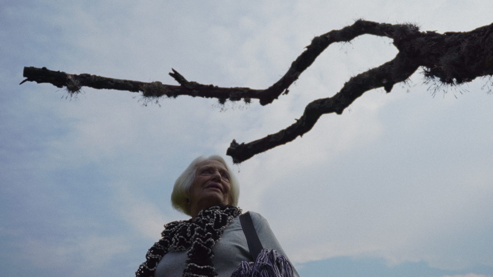 Àvia, el jardín de la memoria: La película competirá en el FICM 1 avia