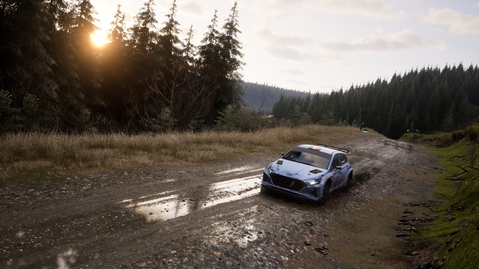 Assetto Corsa Rally ha sido anunciado 4 Assetto Corsa Rally