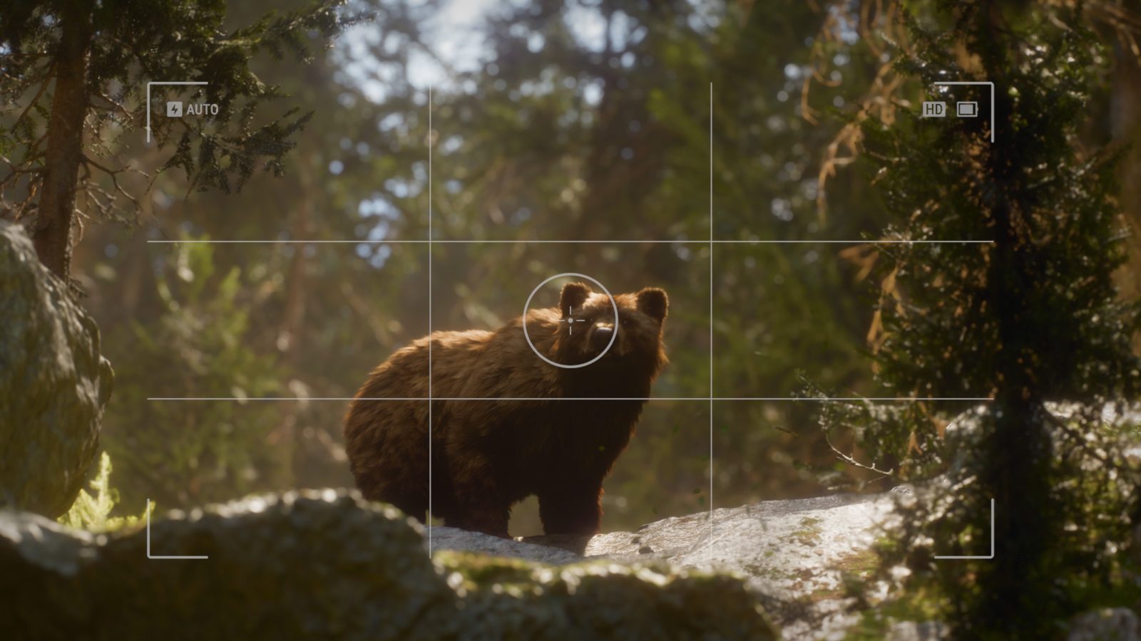 National Park Simulator