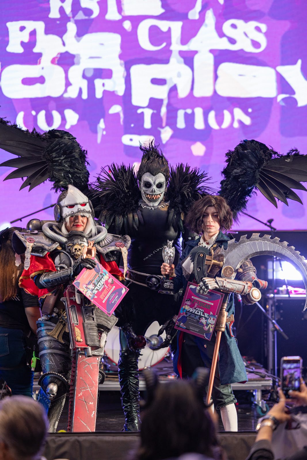 Animole 2025: Anime, Música y Diversión 14