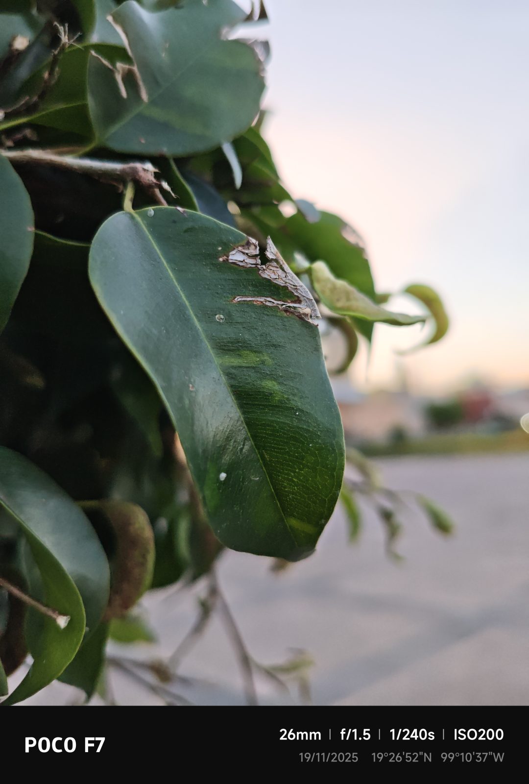 Review : POCO F7 5 Review : POCO F7 4