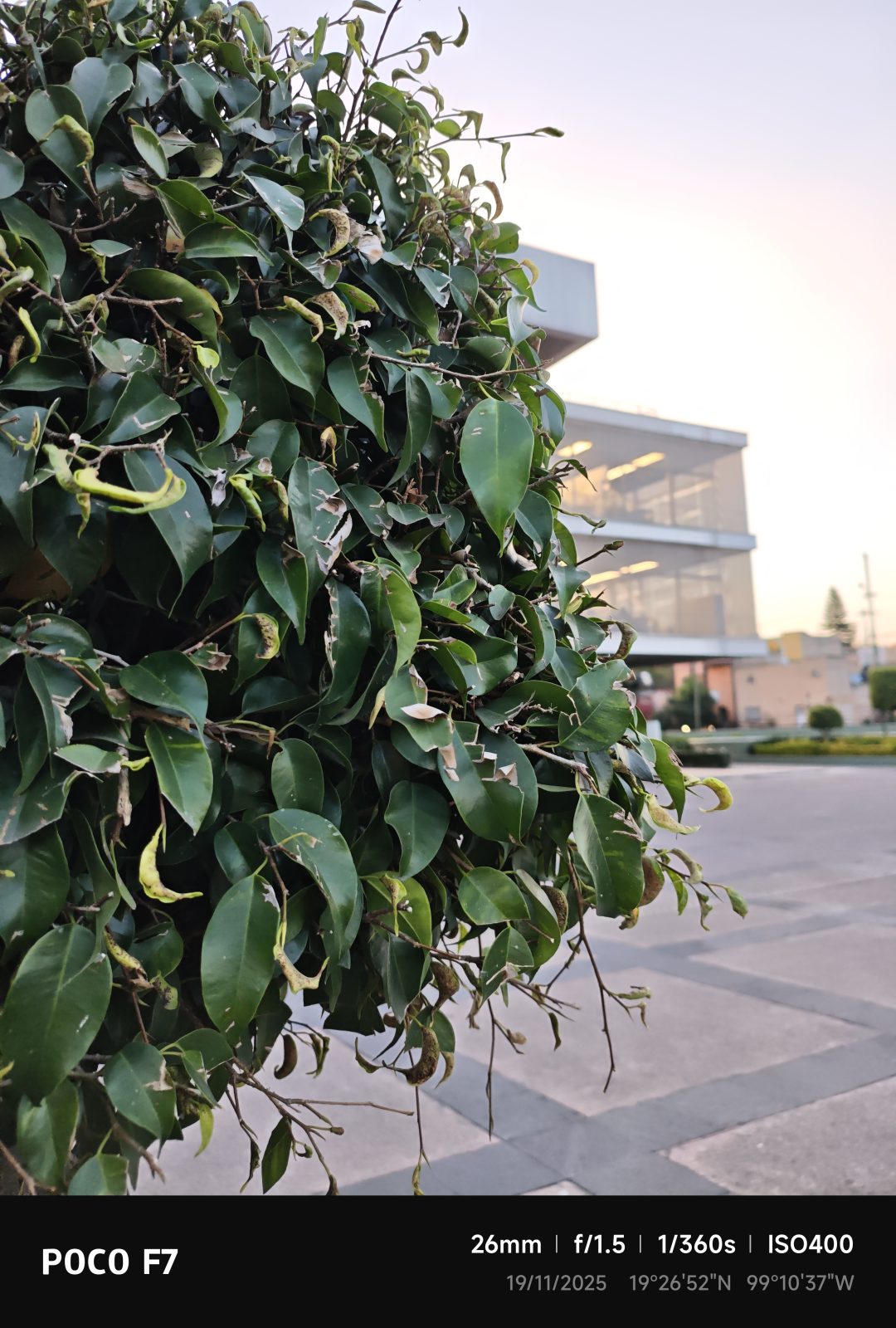 Review : POCO F7 6 Review : POCO F7 5