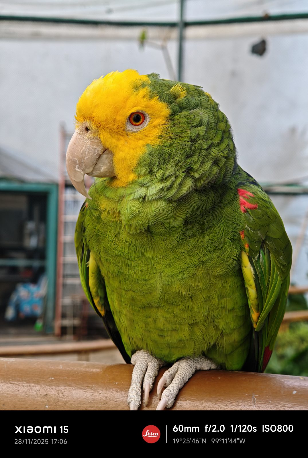 Xiaomi 15, Una carta a los amantes de la fotografía 7