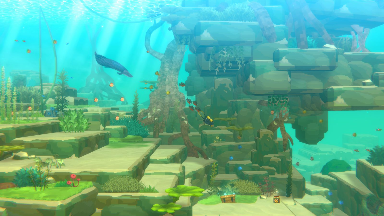 DAVE THE DIVER ‘In the Jungle’