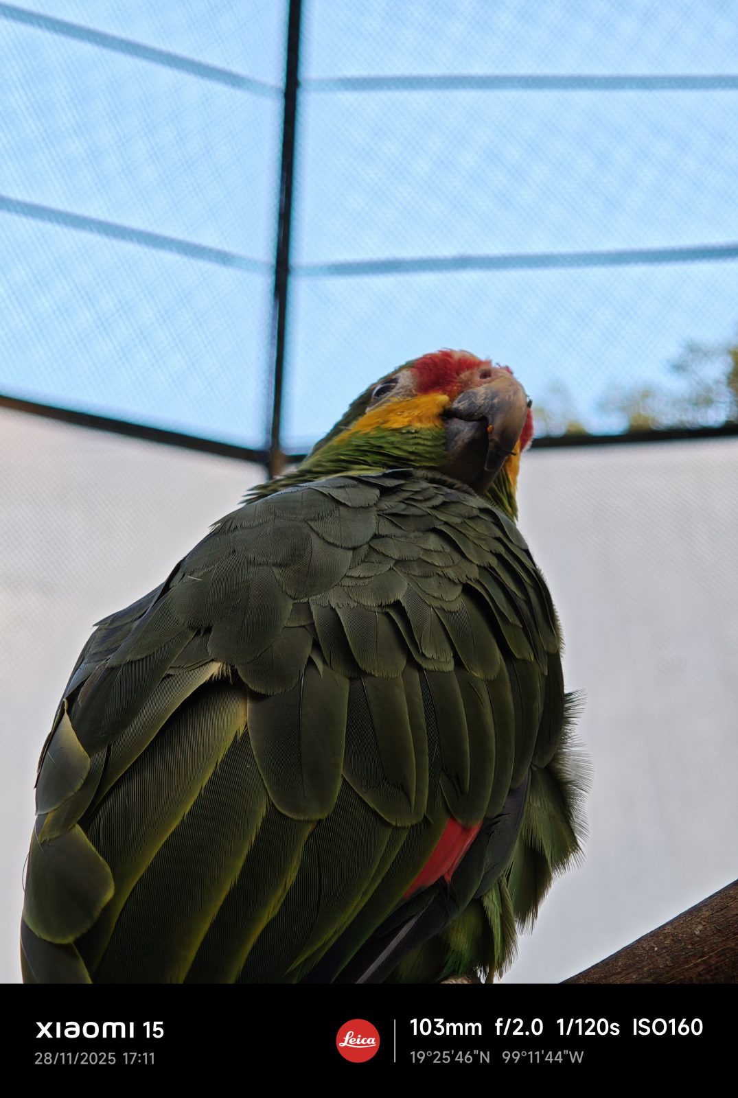 Xiaomi 15, Una carta a los amantes de la fotografía 8