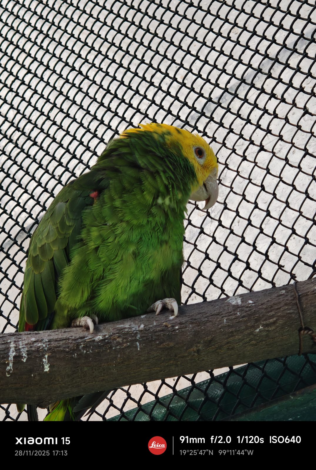 Xiaomi 15, Una carta a los amantes de la fotografía 10