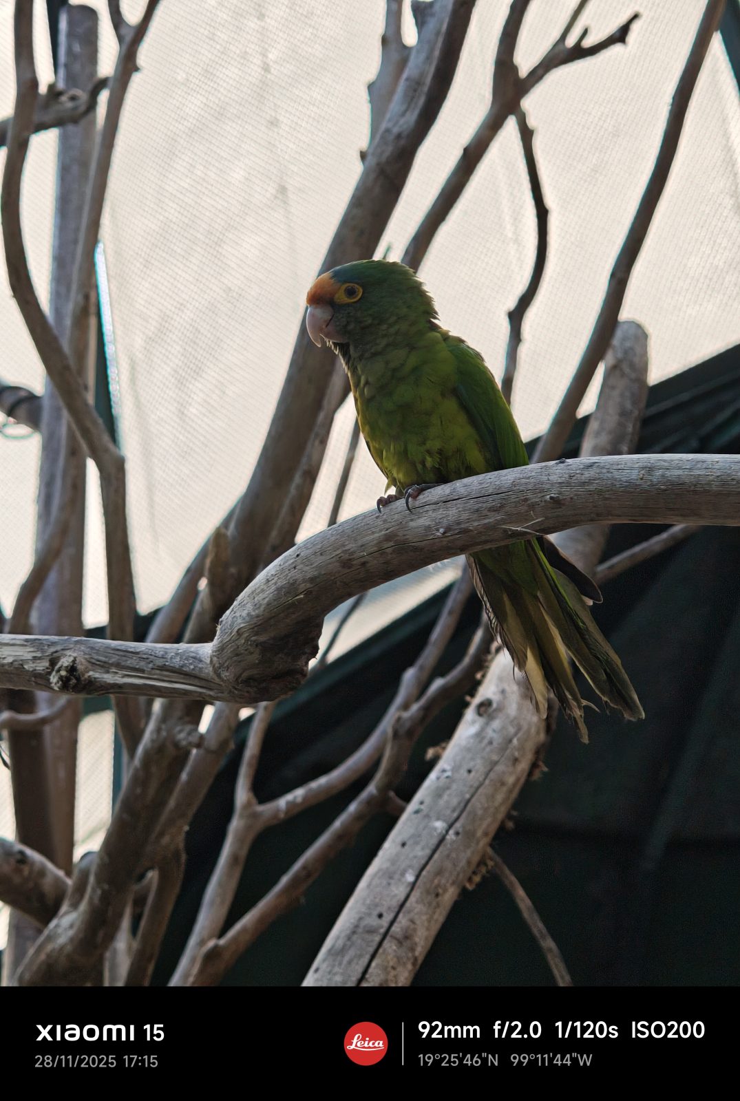 Xiaomi 15, Una carta a los amantes de la fotografía 11