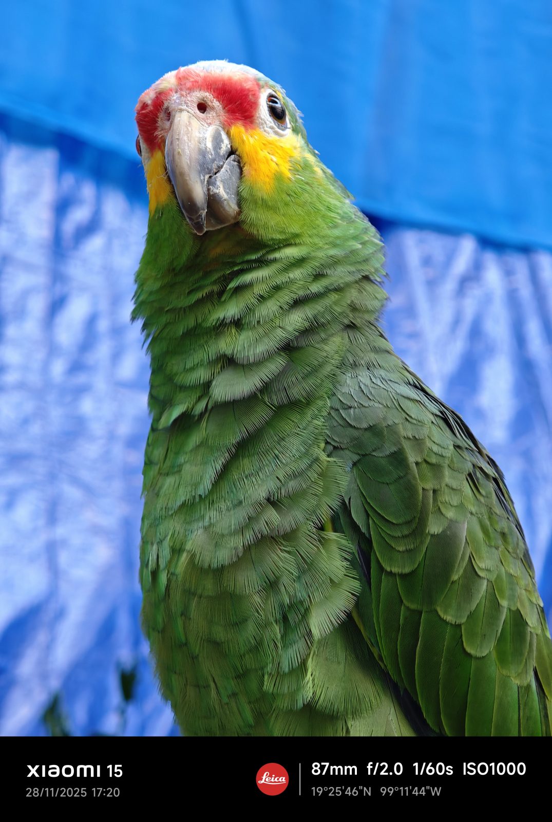 Xiaomi 15, Una carta a los amantes de la fotografía 13