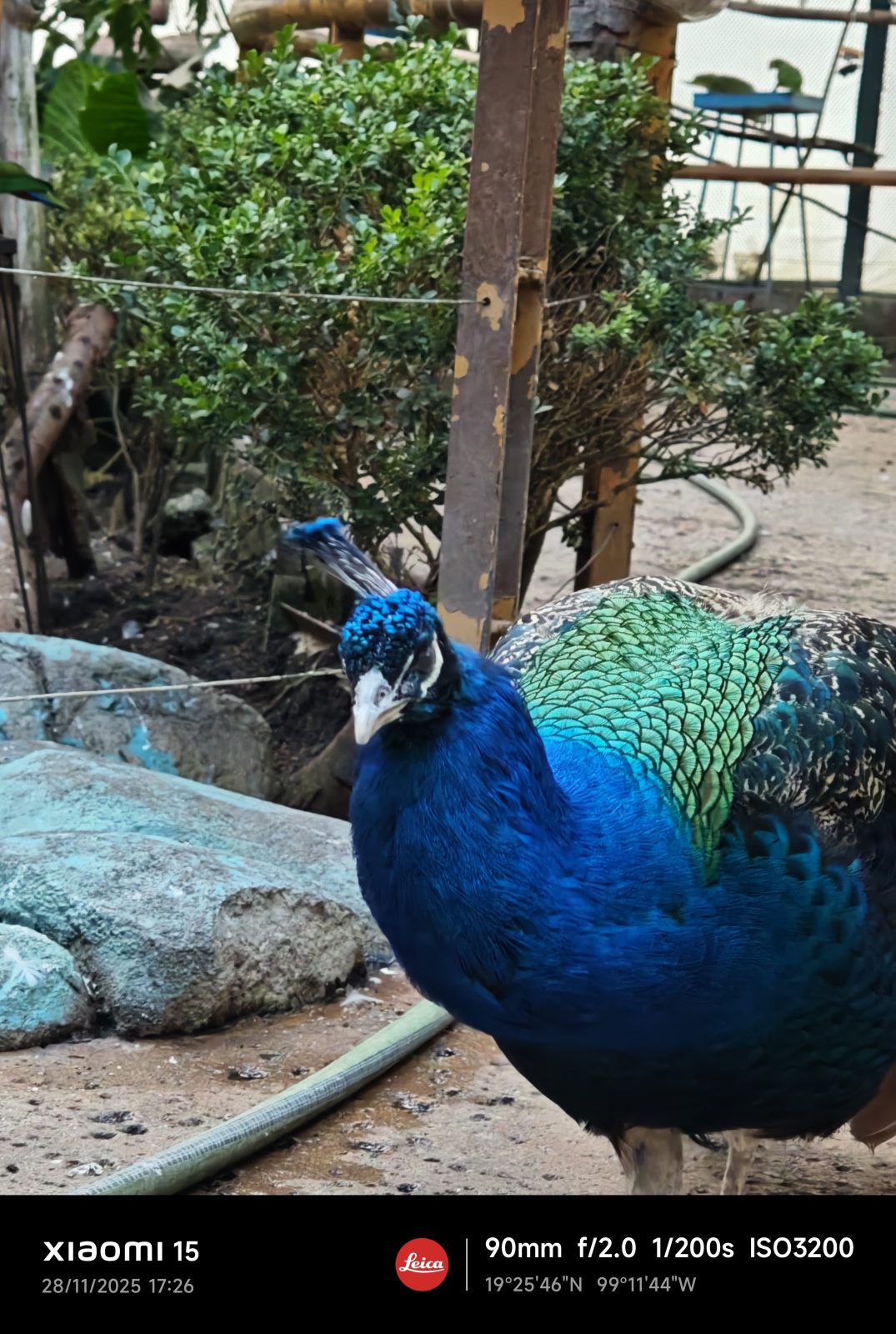 Xiaomi 15, Una carta a los amantes de la fotografía 14