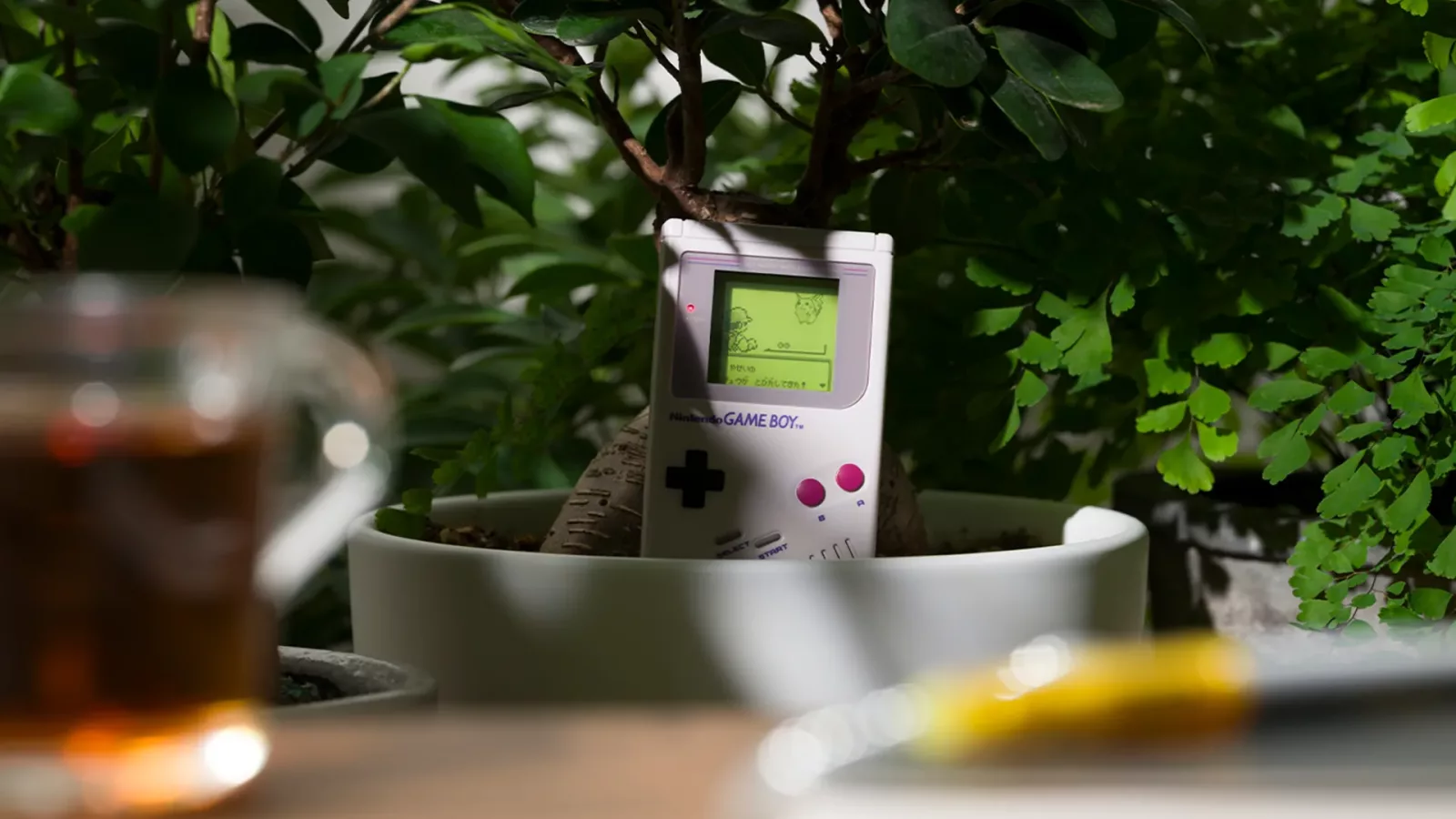 #PokémonDay: ¡Pokémon Game Music Collection ya está disponible! 1 Pokémon Game Music Collection