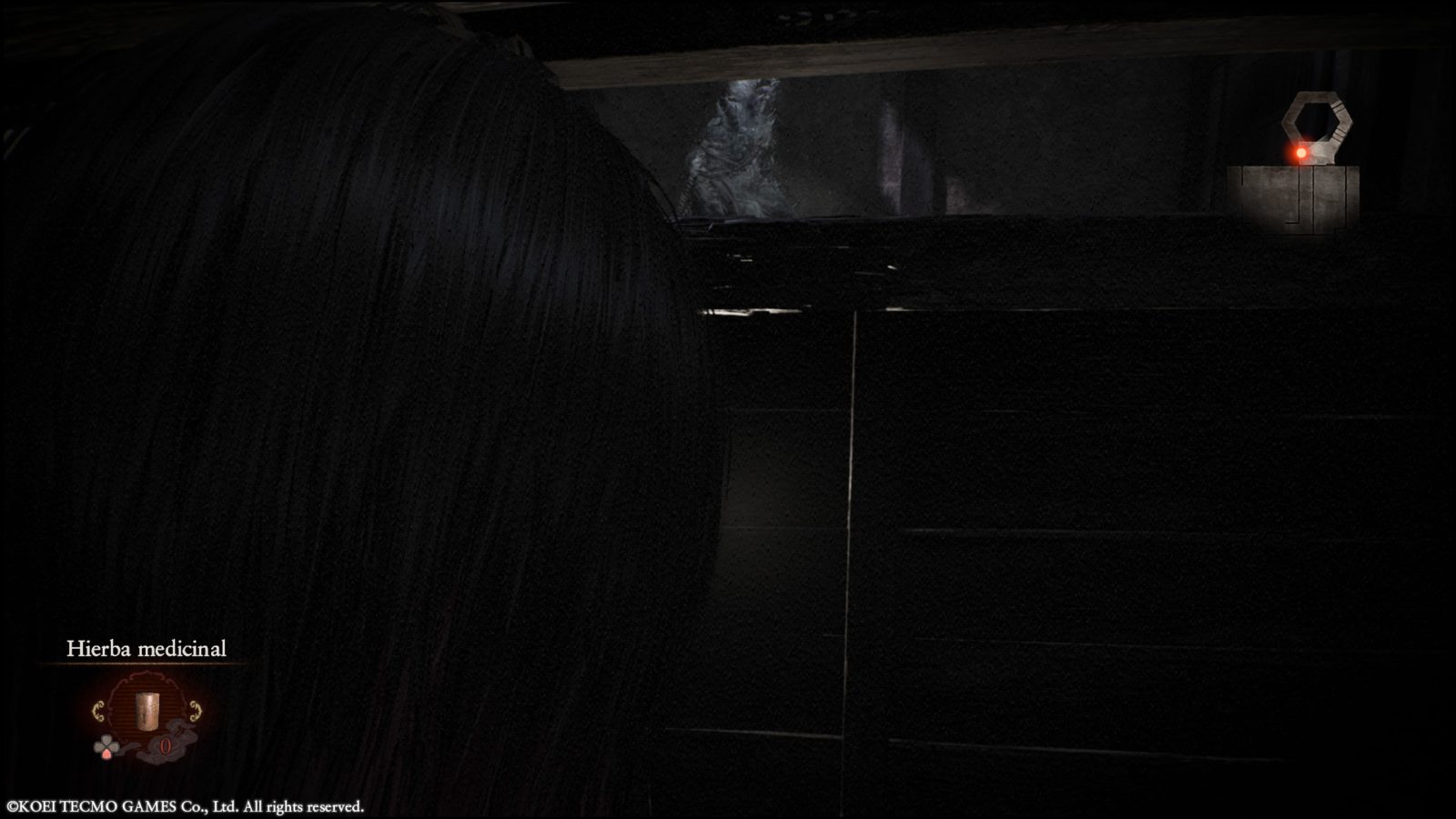 Reseña: Fatal Frame II: Crimson Butterfly 12