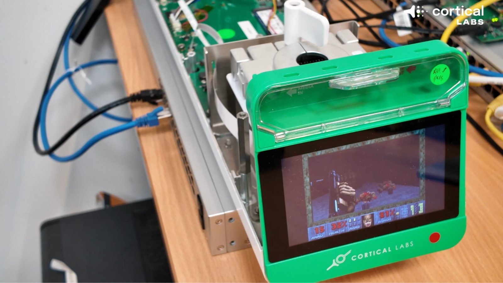 Ahora DOOM corre en… células cerebrales 2 Ahora DOOM corre en… células cerebrales 1