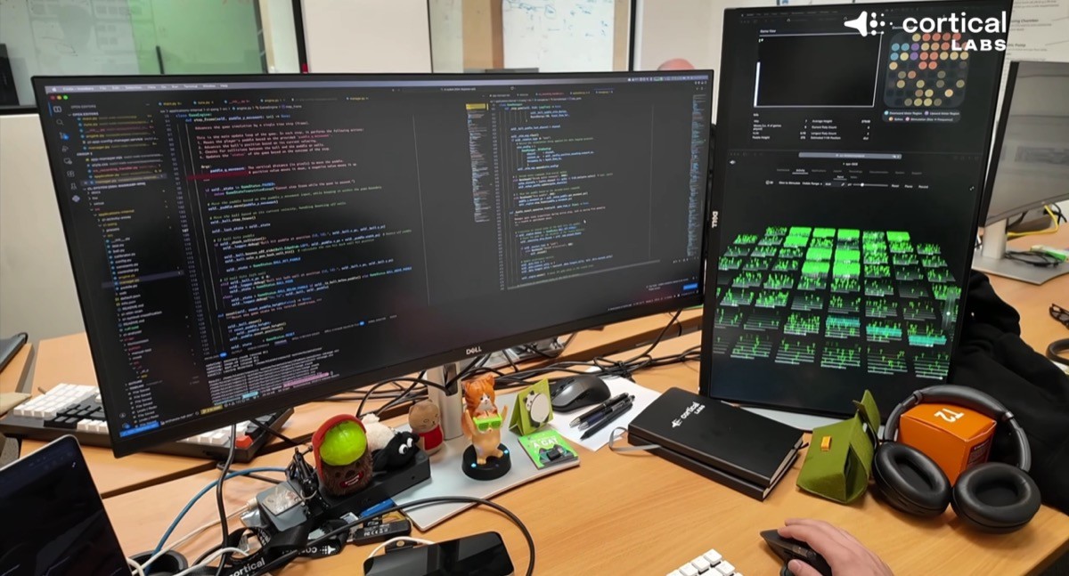 Ahora DOOM corre en… células cerebrales 3 Ahora DOOM corre en… células cerebrales 2