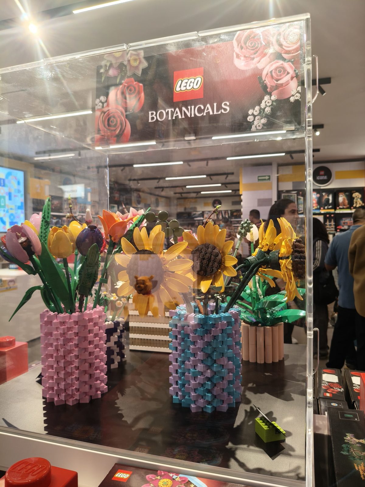 LEGO llega a CDMX con una nueva sucursal en Paseo Acoxpa 7