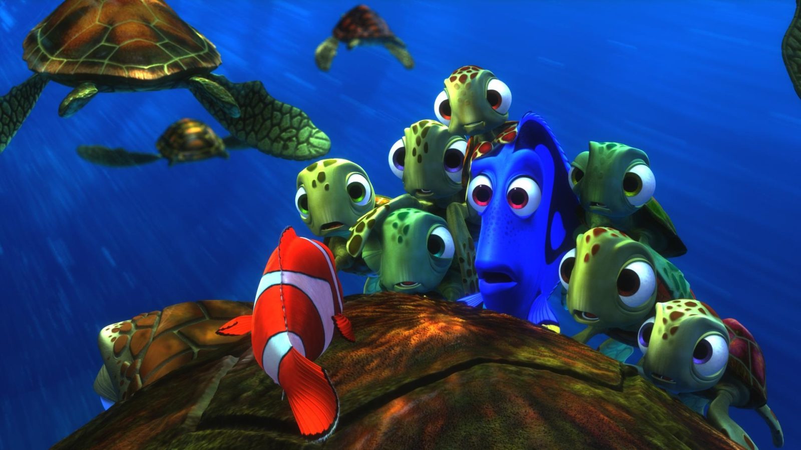 Finding Nemo, Buscando a Nemo