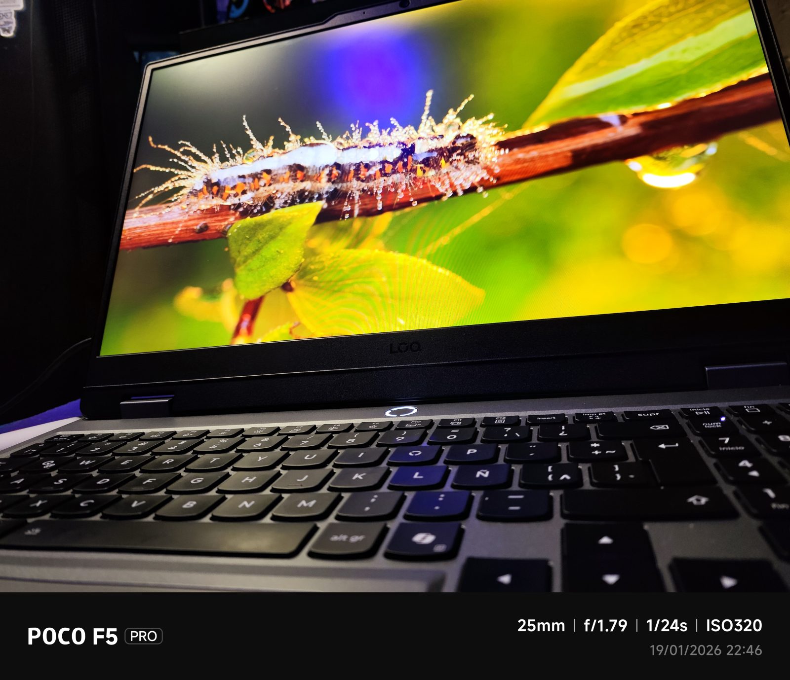 Reseña: Lenovo LOQ 15IRX10