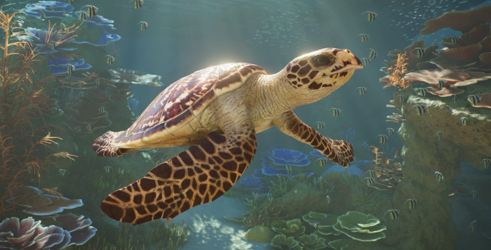 Planet Zoo 2