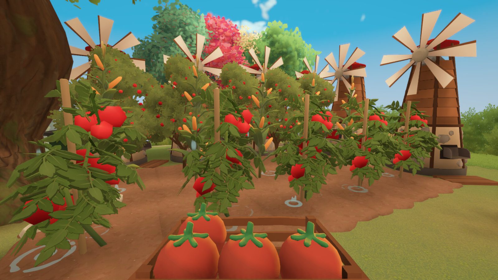 farm to table