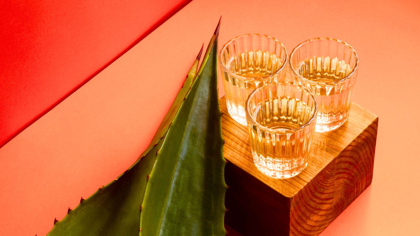 Así vivimos la presentación del Mezcal Fest Monterrey 2026: cultura, degustaciones y mucho sabor mexicano