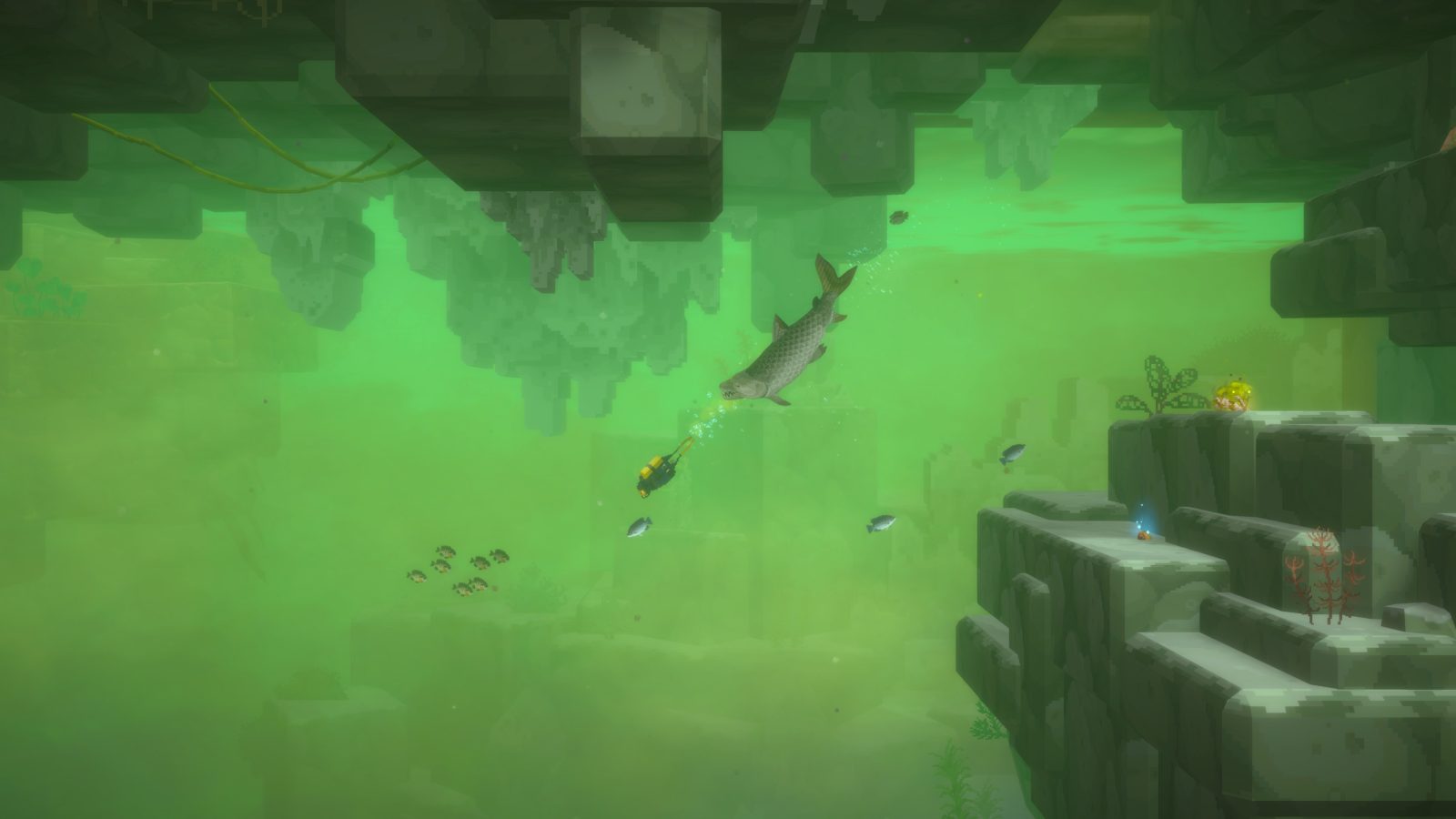 Reseña- Dave The Diver: In The Jungle 4