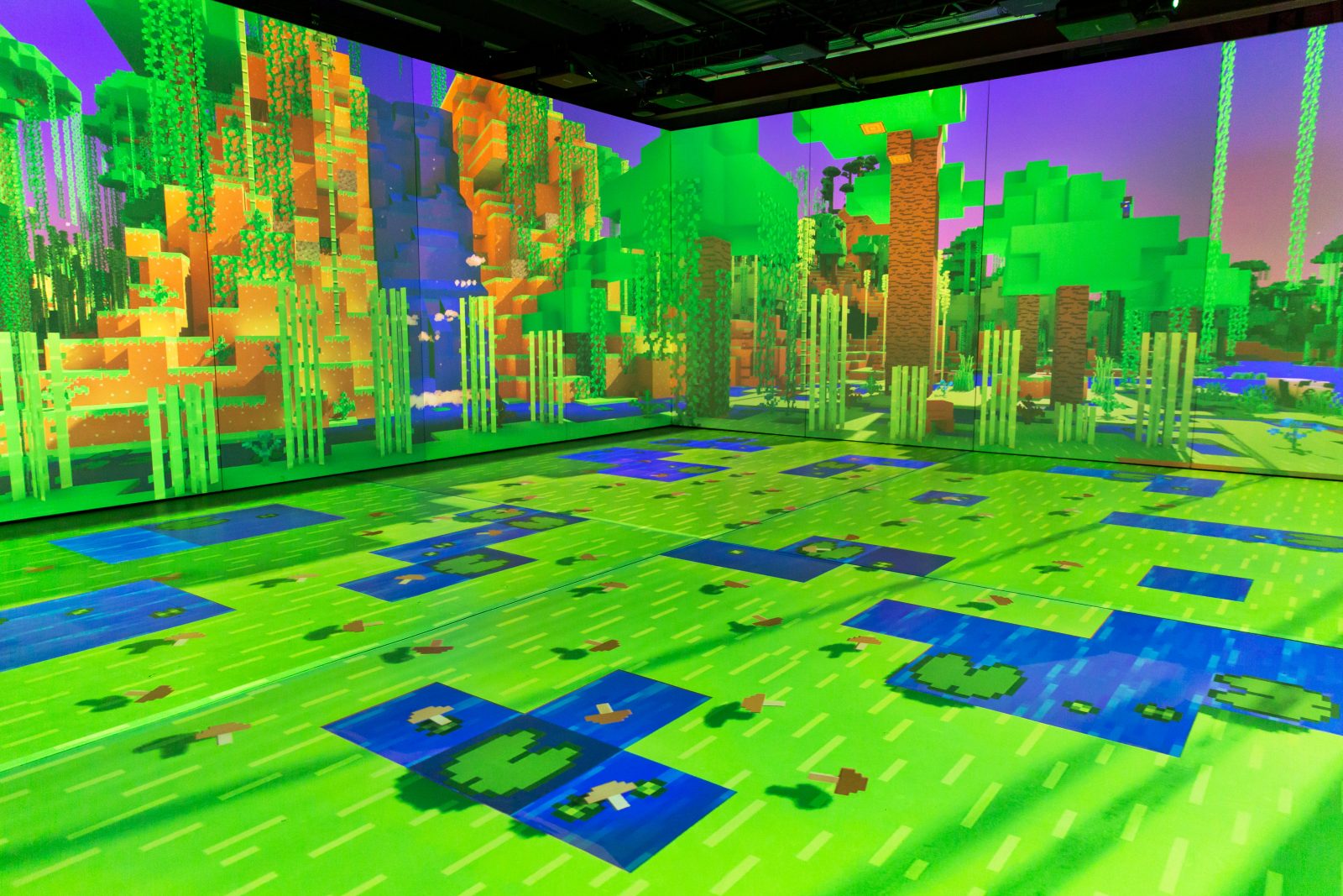 Minecraft Experience: Villager Rescue,