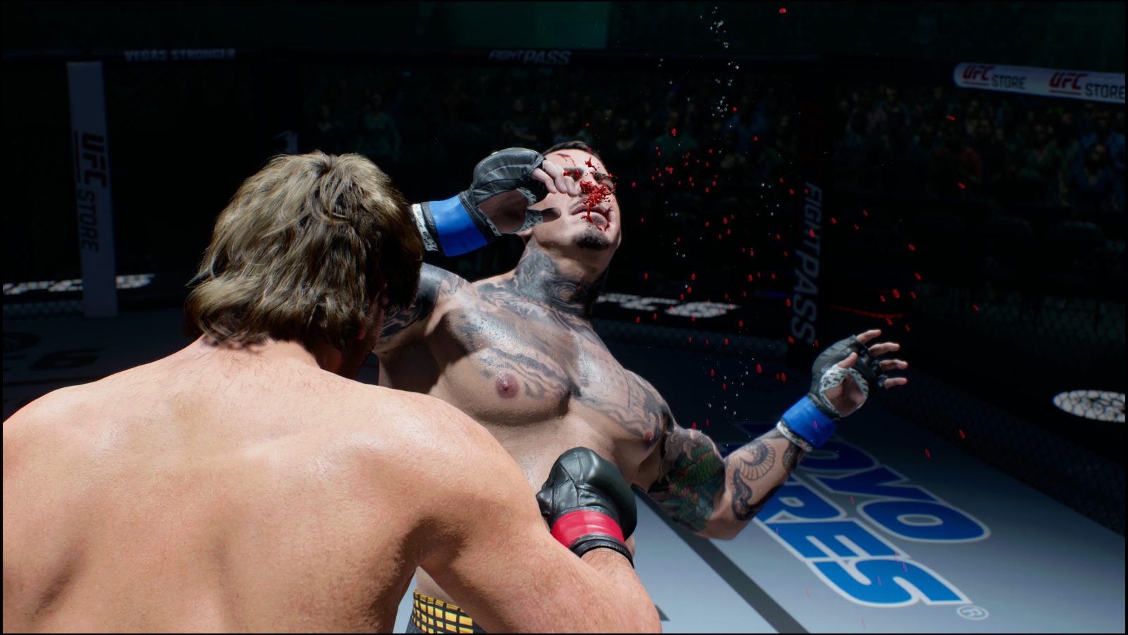 Reseña: UFC 6, el rey indiscutible de las artes marciales mixtas 3 Reseña: UFC 6, el rey indiscutible de las artes marciales mixtas 2