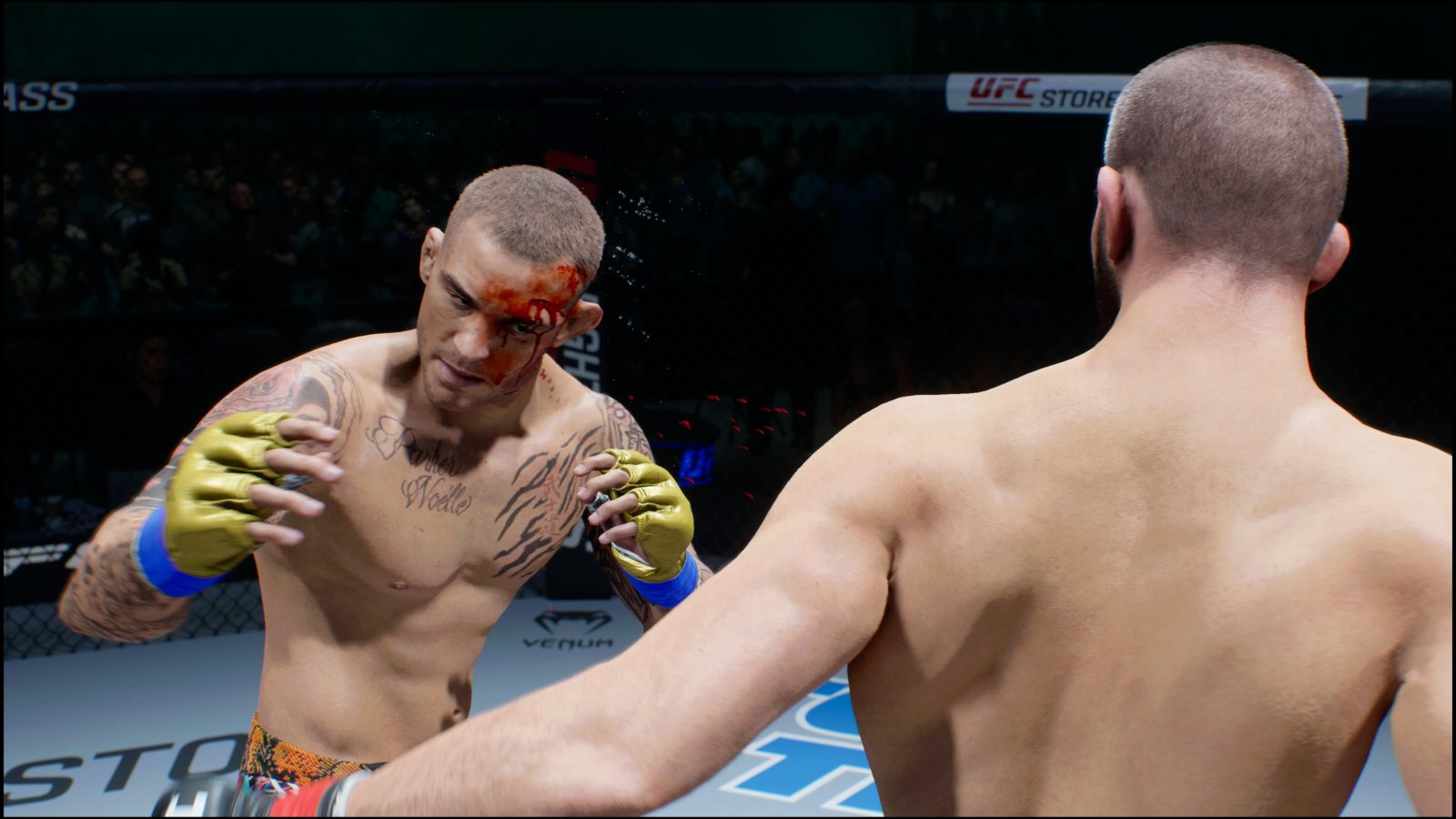 Reseña: UFC 6, el rey indiscutible de las artes marciales mixtas 2 Reseña: UFC 6, el rey indiscutible de las artes marciales mixtas 1