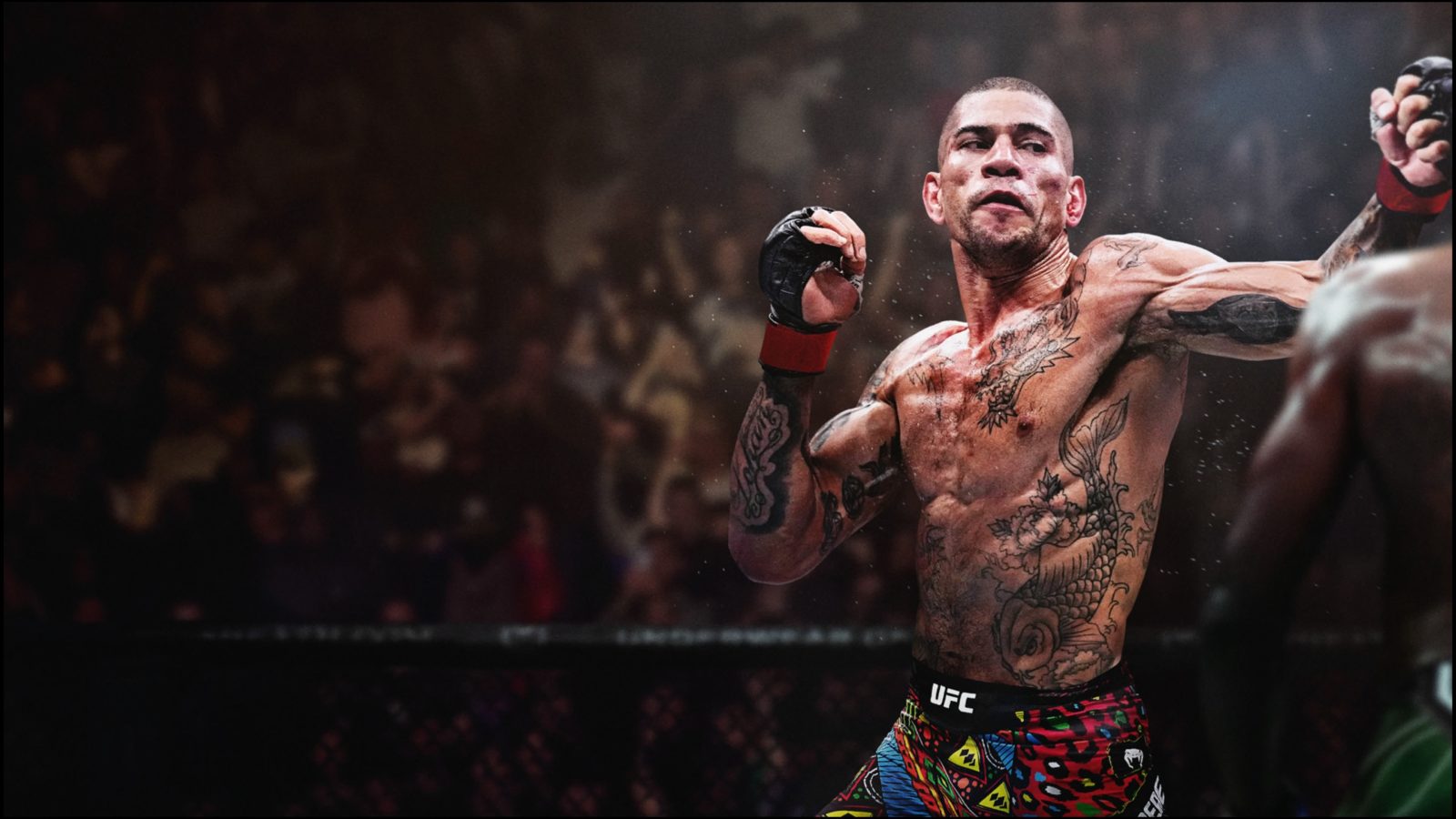 Reseña: UFC 6, el rey indiscutible de las artes marciales mixtas