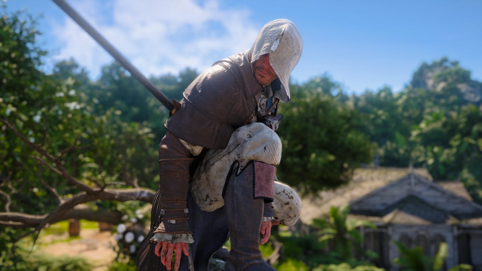 Assassin's Creed Black Flag Resynced