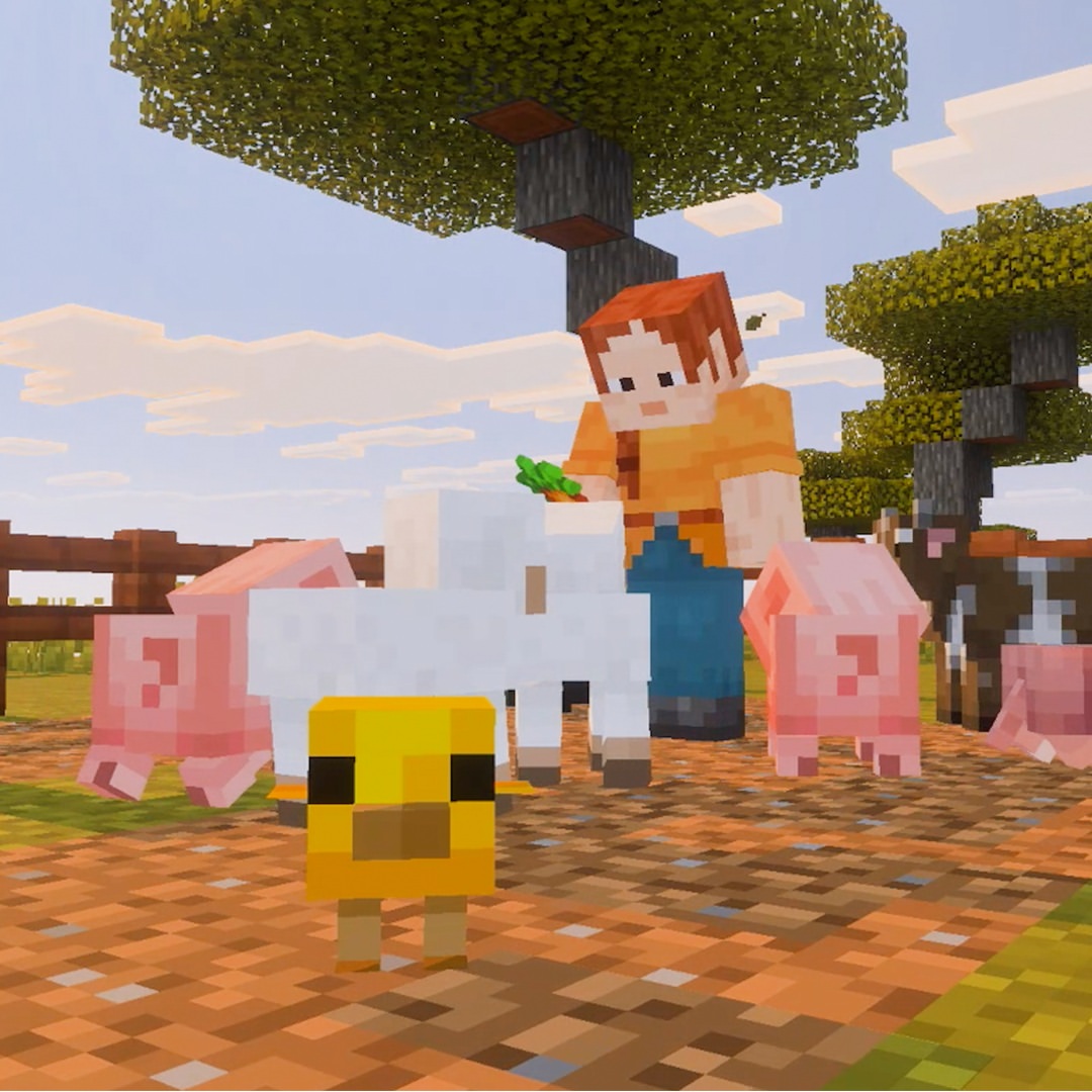 Minecraft Switch 2