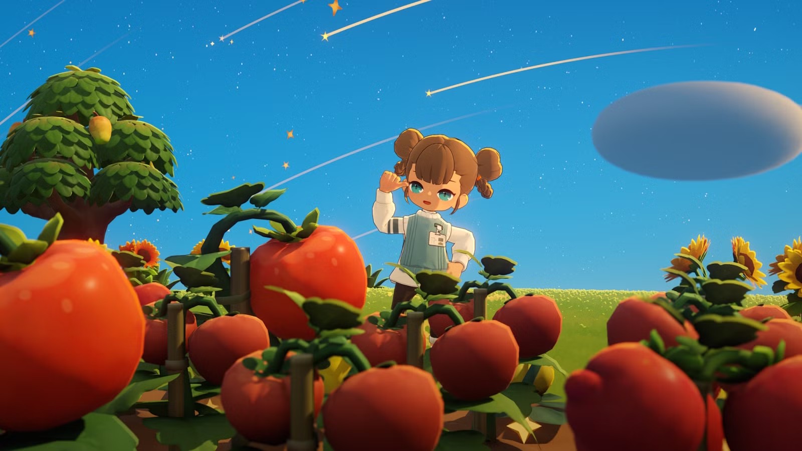 petit planet