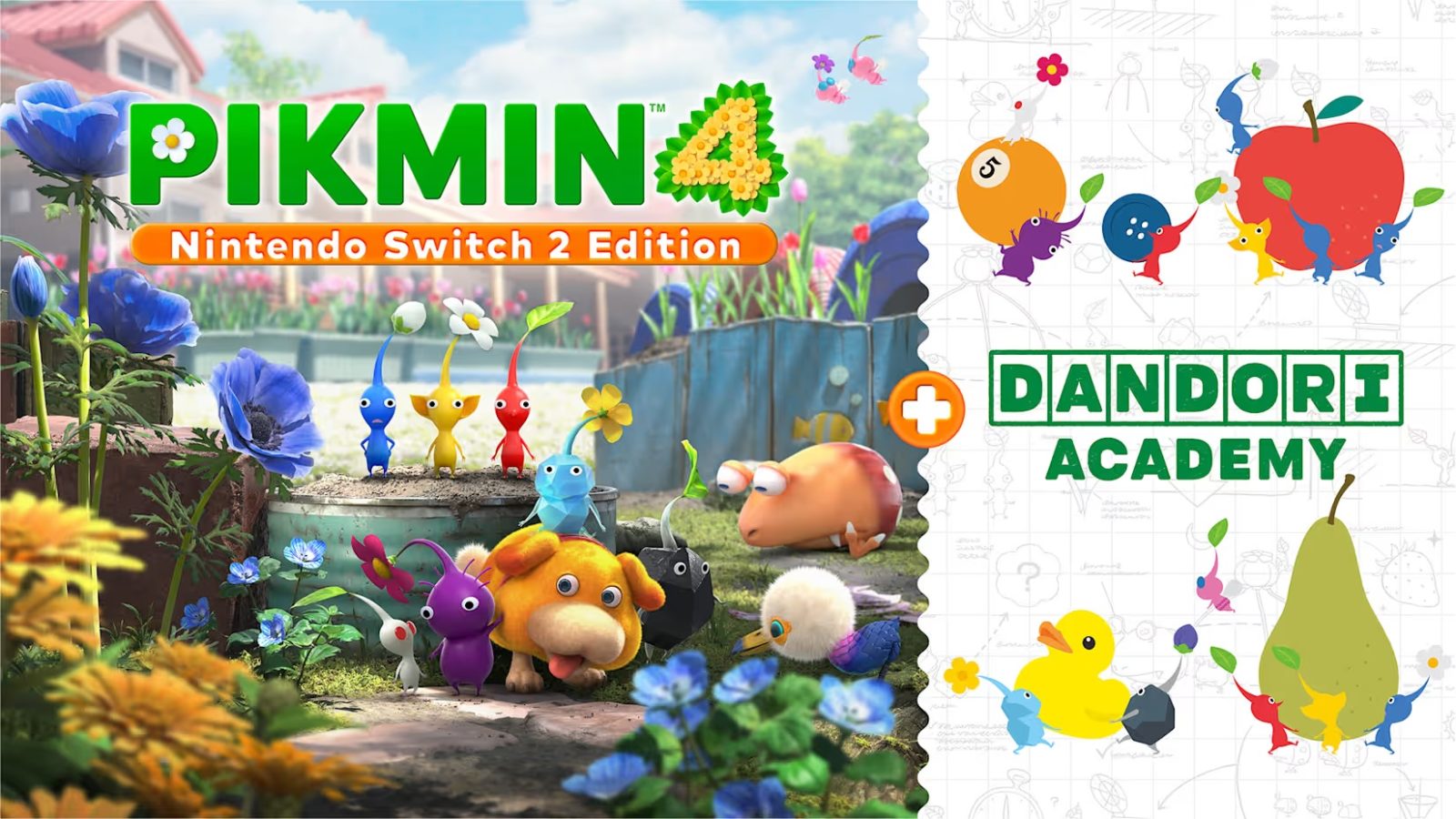 Nintendo Direct: Pikmin 4 – Edición para Switch 2 + Academia Dandori 1 Pikmin 4